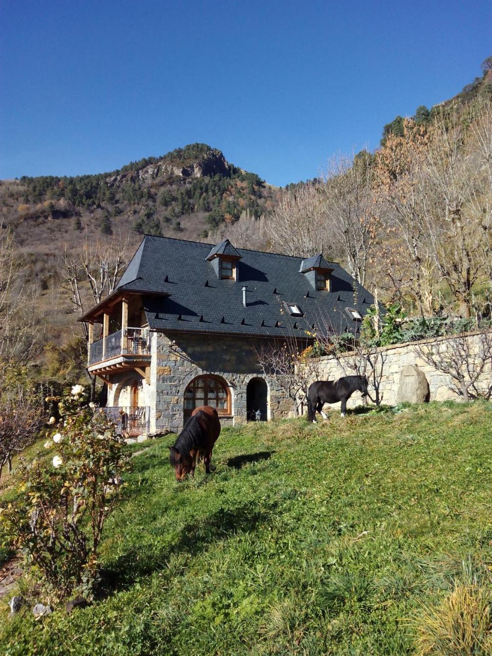 Casa Rural Fontamil Gistain Bagian luar foto